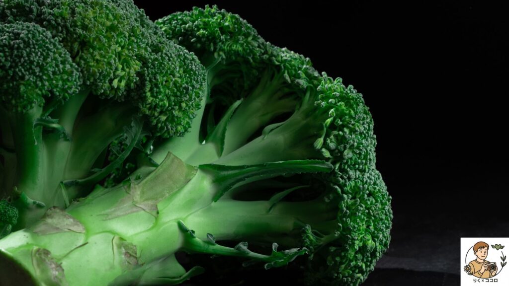 心の在り方を食事で整え、栄養バランスとタイミングを意識した食事で人の目を気にせず自分らしくメンタルとマインドをポジティブに保った状態で生活する方法