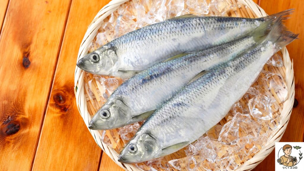 心の在り方を食事で整え、栄養バランスとタイミングを意識した食事で人の目を気にせず自分らしくメンタルとマインドをポジティブに保った状態で生活する方法